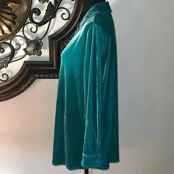 Soft Surroundings Women’s Velvet Mint Green Boyfriend Tunic Top Blouse Medium - Picture 12 of 14